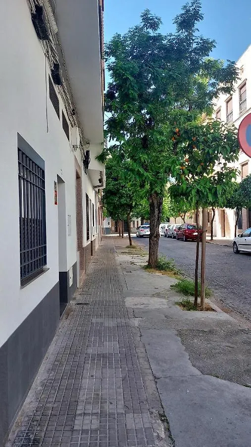 Loft Flor De Azahar Parking Privado Apartment Cordoba 0*,  Spain